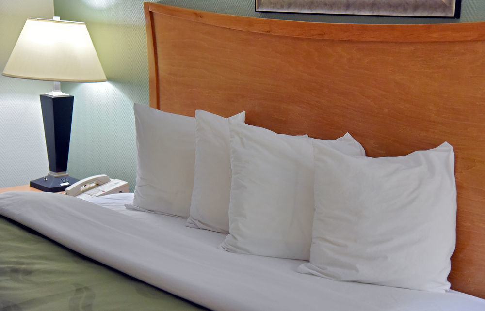 Quality Inn & Suites Near I-480 And I-29 カウンシルブラフス エクステリア 写真